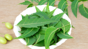 Kitchen pharmacy: 5 natural antibiotics that actually work