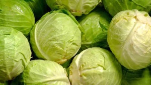 Tiêu đề:
Cabbage Overload: Risks and Safe Consumption Guidelines for This Popular Vegetable