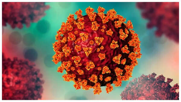 Volunteers participating in dengue vaccine trials