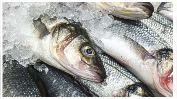 Improperly stored seafood