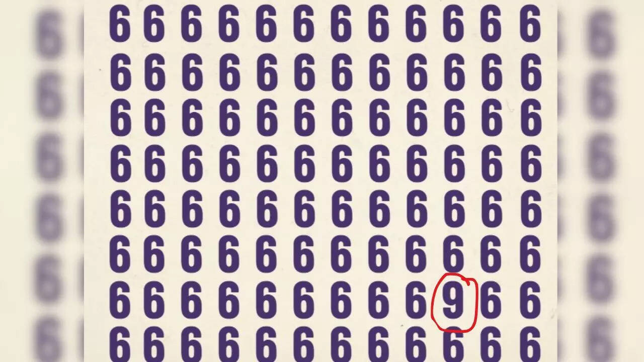 Optical Illusion Answer
