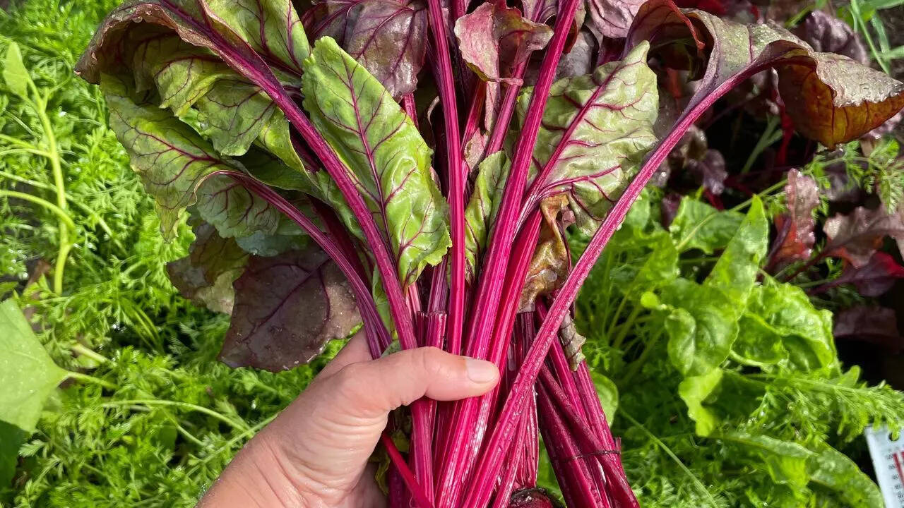 Vegetables: Asparagus, beets, and spinach