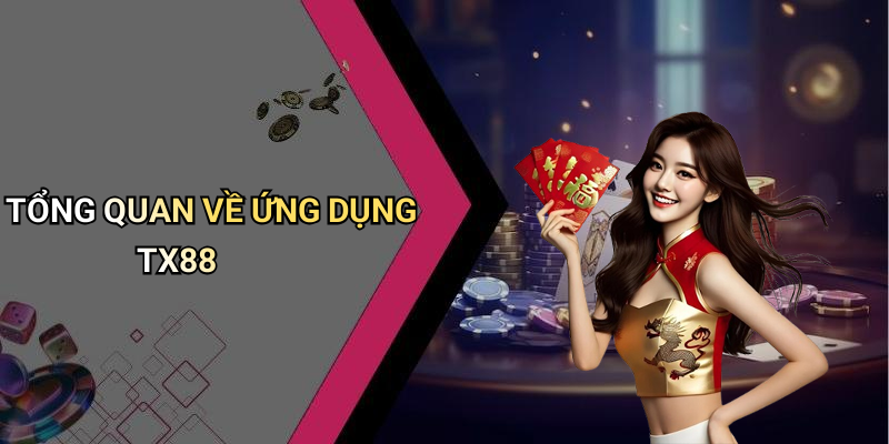 TỔNG QUAN VỀ ỨNG DỤNG TX88