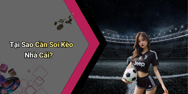 Tại Sao Cần Soi Kèo Nhà Cái?