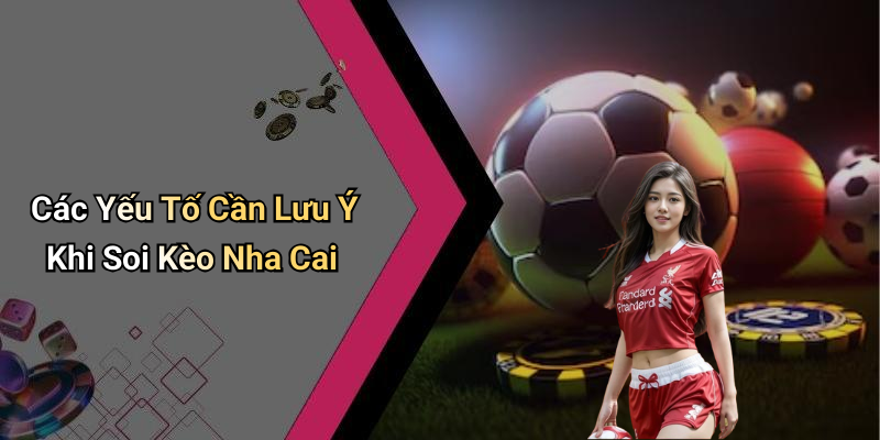Các Yếu Tố Cần Lưu Ý Khi Soi Kèo Nha Cai