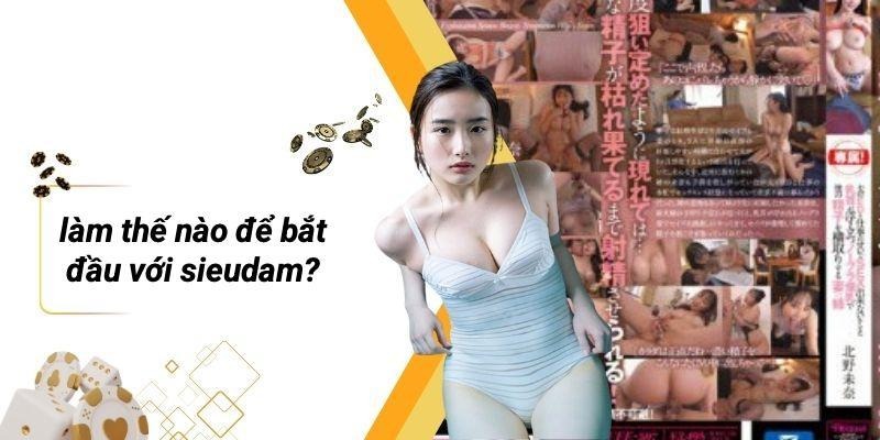 Làm Thế Nào Để Bắt Đầu Với SIEUDAM?
